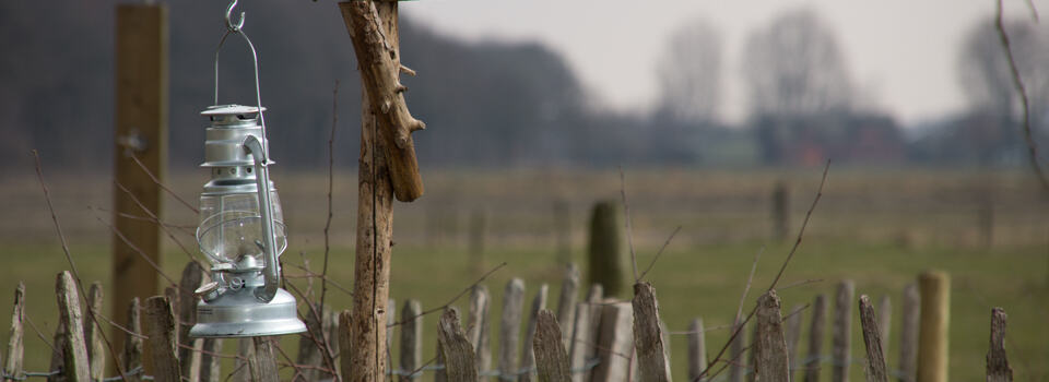 Homepage banner 4
